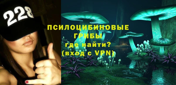 гидропоника Белокуриха
