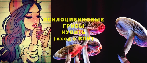 spice Белоозёрский