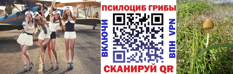 Псилоцибиновые грибы ЛСД  купить закладку  Черемхово 